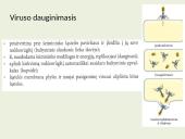 Biologija (gyvūnai) 12 puslapis