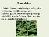 Biologija (gyvūnai) 13 puslapis