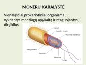 Biologija (gyvūnai) 15 puslapis