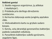 Biologija (gyvūnai) 20 puslapis