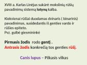 Biologija (gyvūnai) 4 puslapis