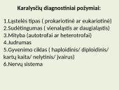 Biologija (gyvūnai) 7 puslapis