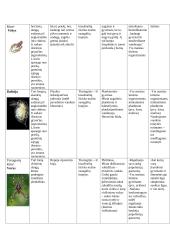Bestuburių gyvūnų bruožų lentelė 3 puslapis