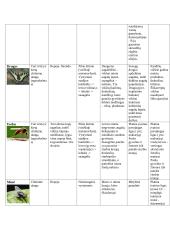 Bestuburių gyvūnų bruožų lentelė 6 puslapis