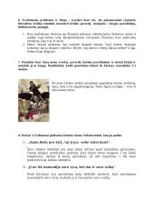 Ievos Simonaitytės „Aukštujų Šimonių likimas“ literatūros kūrinio aprašas 2 puslapis