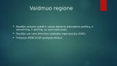 Brazilijos ekonominė ir politinė geografinė padėtis 17 puslapis