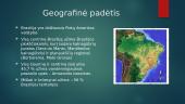 Brazilijos ekonominė ir politinė geografinė padėtis 6 puslapis