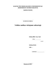 Veiklos auditas viešajame sektoriuje