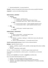 Anatomija. Kaulai ir Raumenys. Konspektas. 11 puslapis