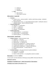 Anatomija. Kaulai ir Raumenys. Konspektas. 13 puslapis