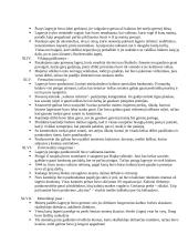 Dievų miškas. SANTRAUKA 15 puslapis