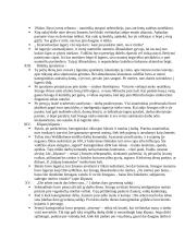 Dievų miškas. SANTRAUKA 4 puslapis