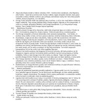 Dievų miškas. SANTRAUKA 6 puslapis