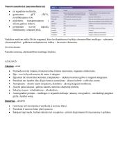 Histologija. Nervinis audinys 2 puslapis