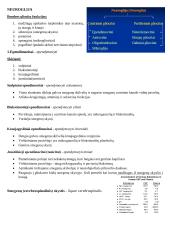 Histologija. Nervinis audinys 4 puslapis