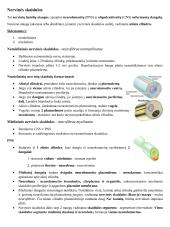 Histologija. Nervinis audinys 6 puslapis