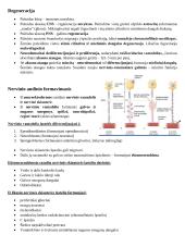 Histologija. Nervinis audinys 10 puslapis