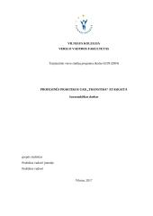 Profesinės praktikos UAB "Transtira" ataskaita