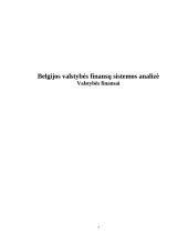 Belgijos valstybės finansų sistemos analizė