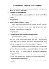 Kelionių agentūros vadybinė analizė