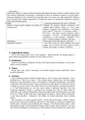 Don kichotas - išsami analizė 2 puslapis