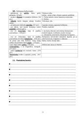 Don kichotas - išsami analizė 11 puslapis