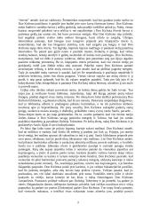 Don kichotas - išsami analizė 3 puslapis