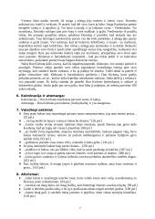 Don kichotas - išsami analizė 7 puslapis