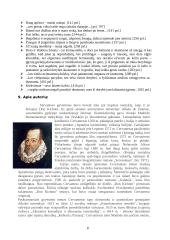 Don kichotas - išsami analizė 8 puslapis