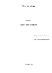 Vykdomosios valdžios subjektai, funkcijos, požymiai