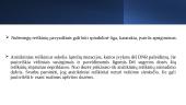 Jonizuojančios spinduliuotės biologinis poveikis. Leistinos poveikio dozės. 11 puslapis