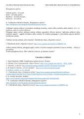 Nepamokinis renginys 6 puslapis