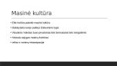 Svarbiausi XIX a. kultūros bruožai ir masinės kultūros ištakos 6 puslapis