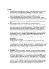 Kūno kultūros esė 2 puslapis