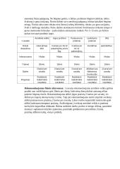 Kūno kultūros esė 3 puslapis