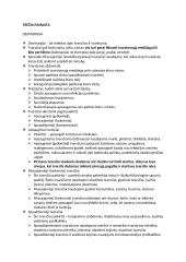 Slaugos pagrindai 11 puslapis