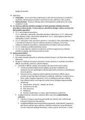 Slaugos pagrindai 15 puslapis