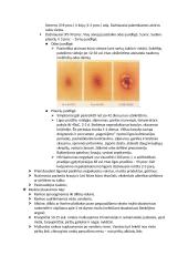 Slaugos pagrindai 16 puslapis