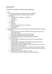 Slaugos pagrindai 5 puslapis