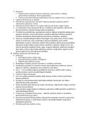 Slaugos pagrindai 7 puslapis