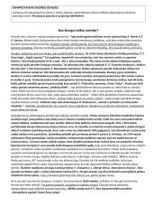 Egzamino rašinių tipai 4 puslapis