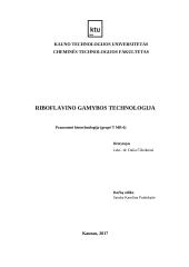 Riboflavino biointezė