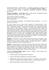 Privalomų literatūros autorių medžiaga 11 puslapis