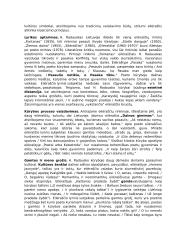 Privalomų literatūros autorių medžiaga 16 puslapis