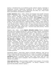 Privalomų literatūros autorių medžiaga 19 puslapis