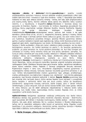 Privalomų literatūros autorių medžiaga 3 puslapis