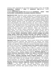 Privalomų literatūros autorių medžiaga 6 puslapis