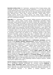 Privalomų literatūros autorių medžiaga 9 puslapis