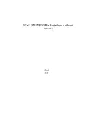 Seimo rinkimų sistema: privalumai ir trūkumai