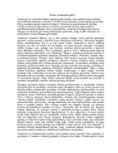 Kokia vaizduotės galia?